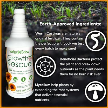 original liquid plant fertilizer Wholesale WriggleBrew Liquid Fertilizer By Case